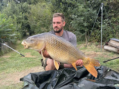 Zari 202614